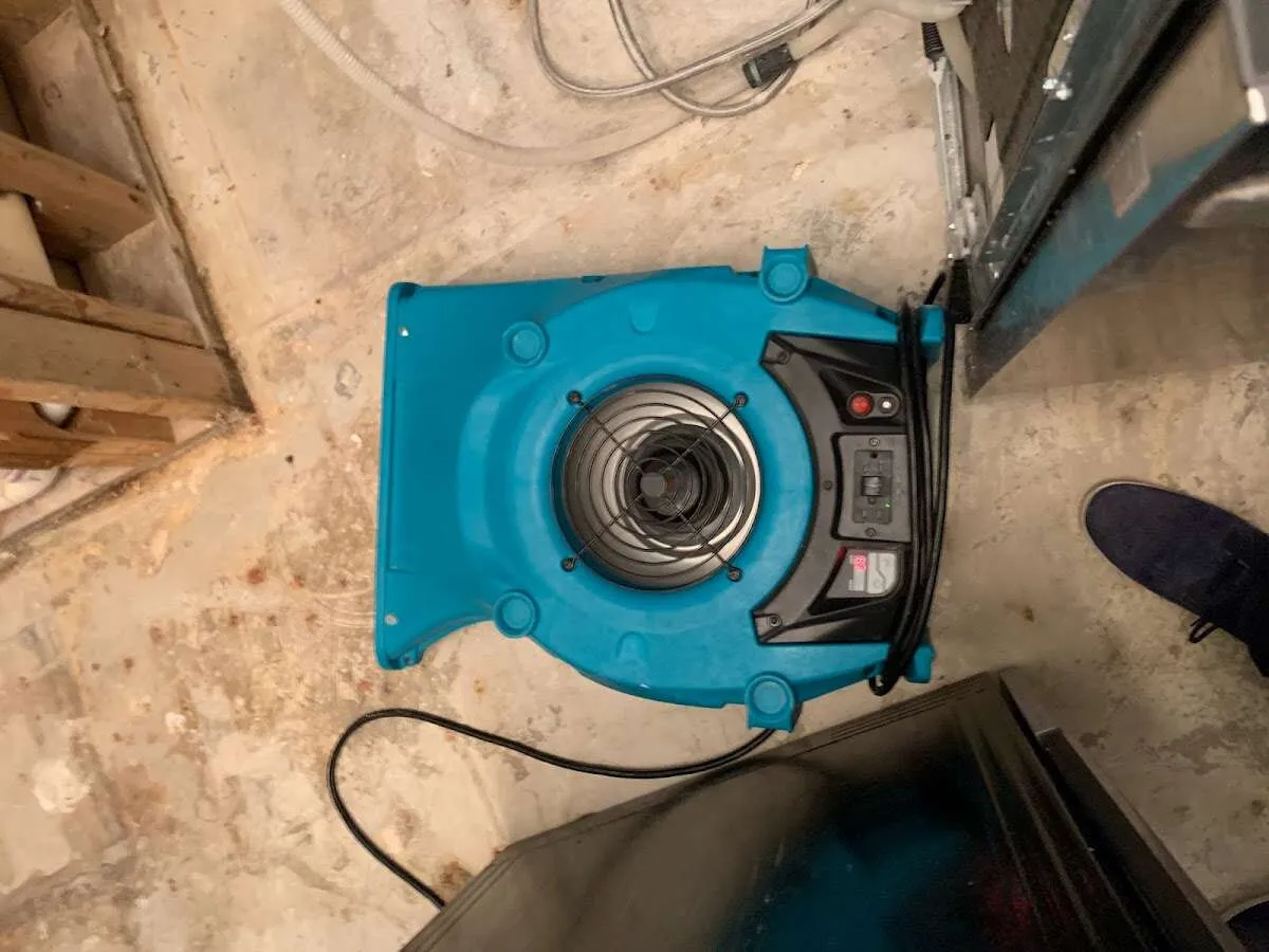 Air mover drying equipment for Mold Remediation & Removal in Lake Morton-Berrydale