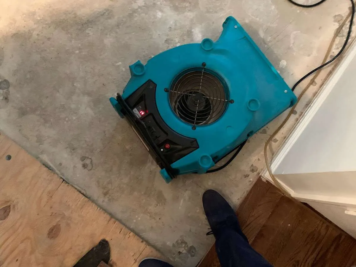 Air mover drying subfloor during Commercial Water Damage Restoration in Lake Morton-Berrydale